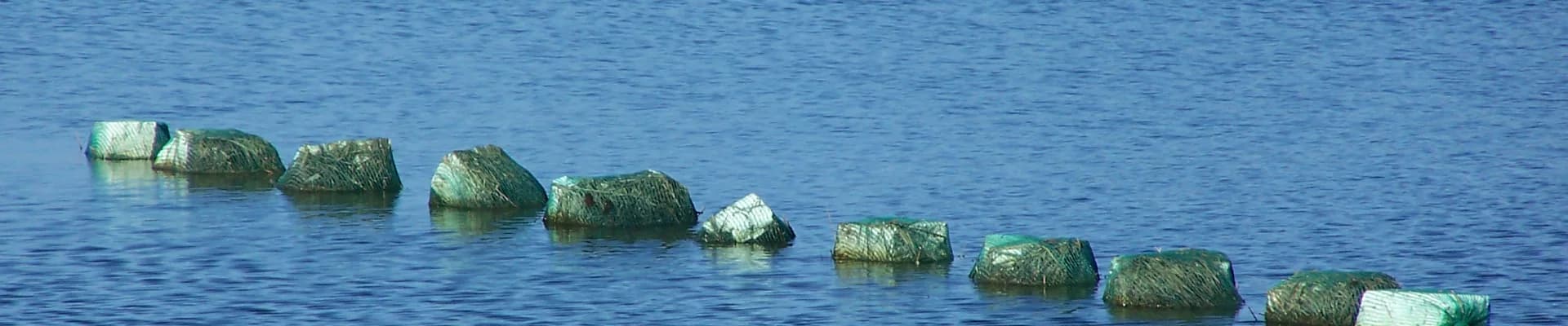 Kapenta Netting product header