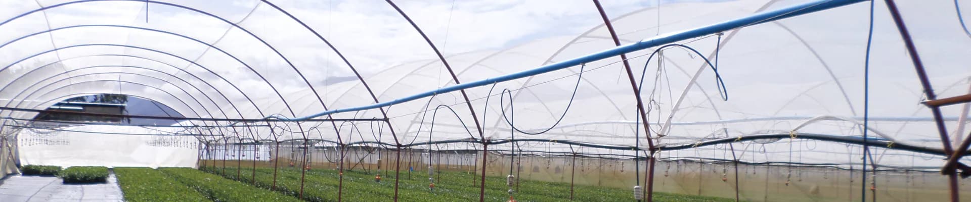 Knipol product header